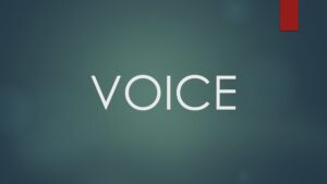 Voice