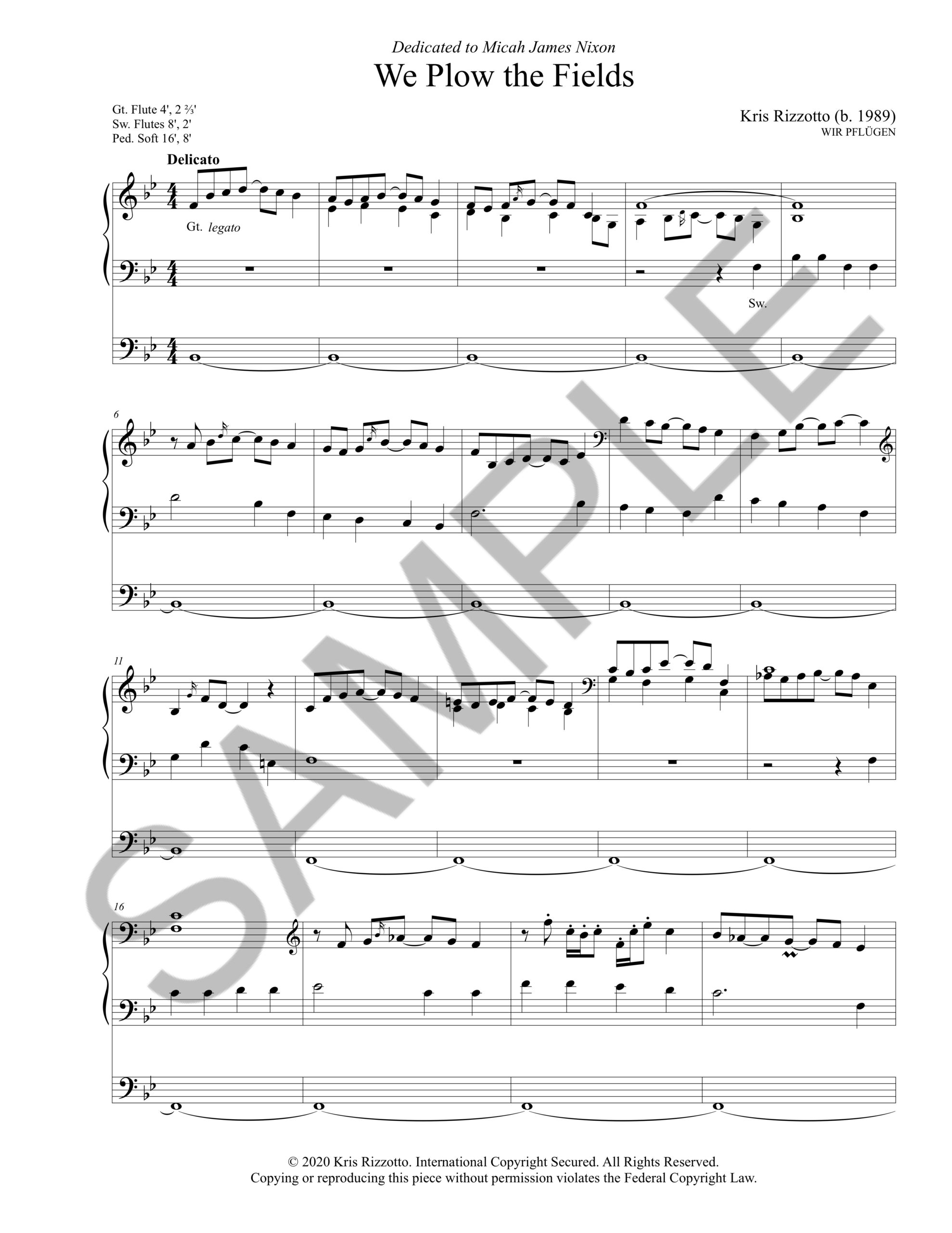 We Plow the Fields - Image 4